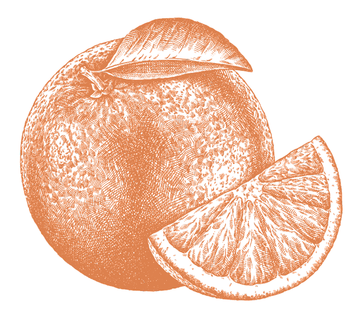Magic Orange fruit and half cut peace of orange fruit